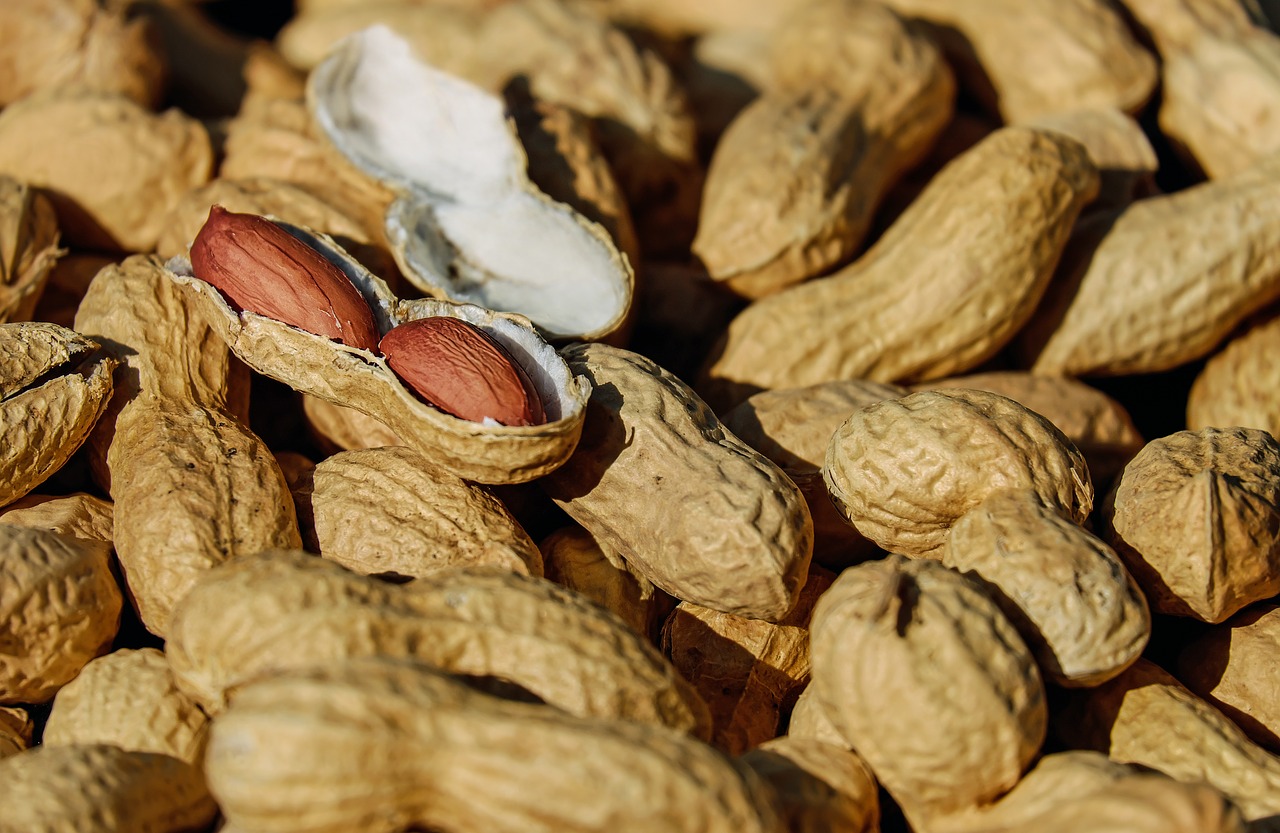 Food Allergies in Children | Peanut Allergy